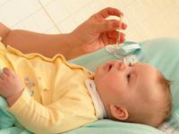Особенности лечения детского насморка соком каланхоэ