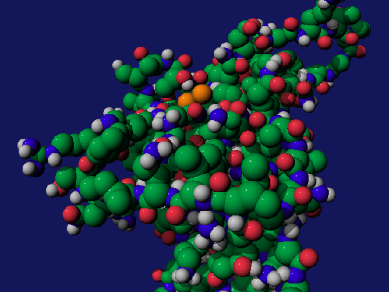 Так выглядит молекула гидрохлорида лизоцима
