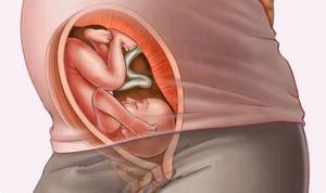 Можно ли лечиться Амоксиклавом в период беременности